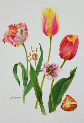 Picture